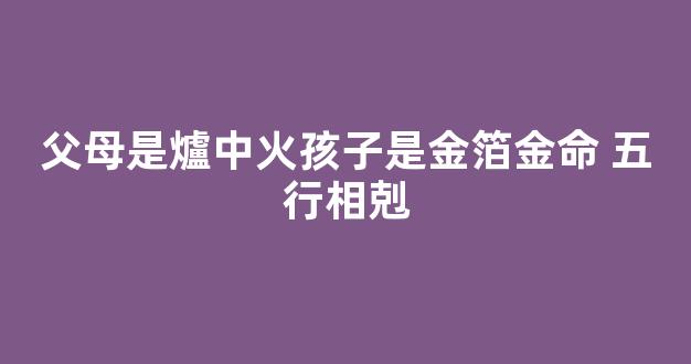 父母是爐中火孩子是金箔金命 五行相剋